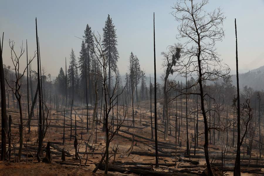 Пожары в Калифорнии