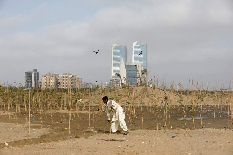 Озеленение Пакистана