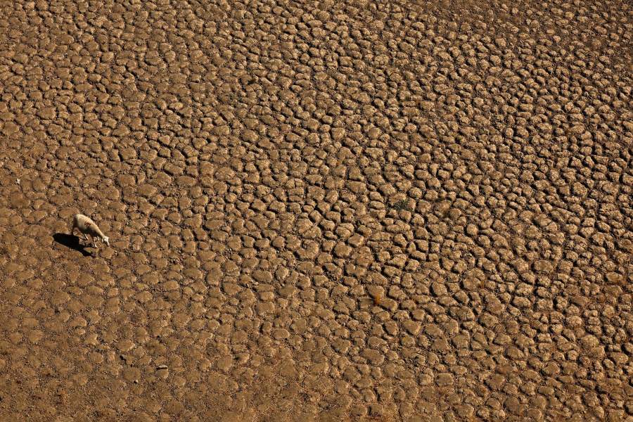 Засуха в Европе