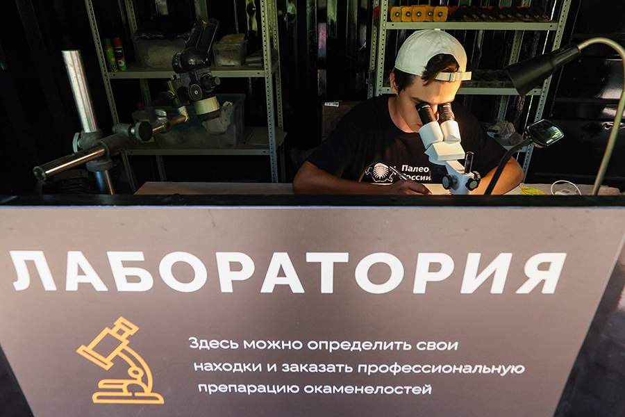 Открылся первый в России палеонтологический парк