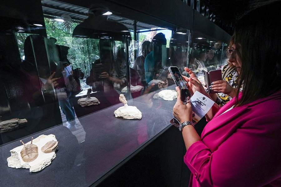 Открылся первый в России палеонтологический парк