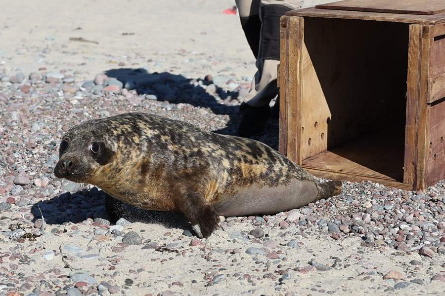 Фото прошедшей недели