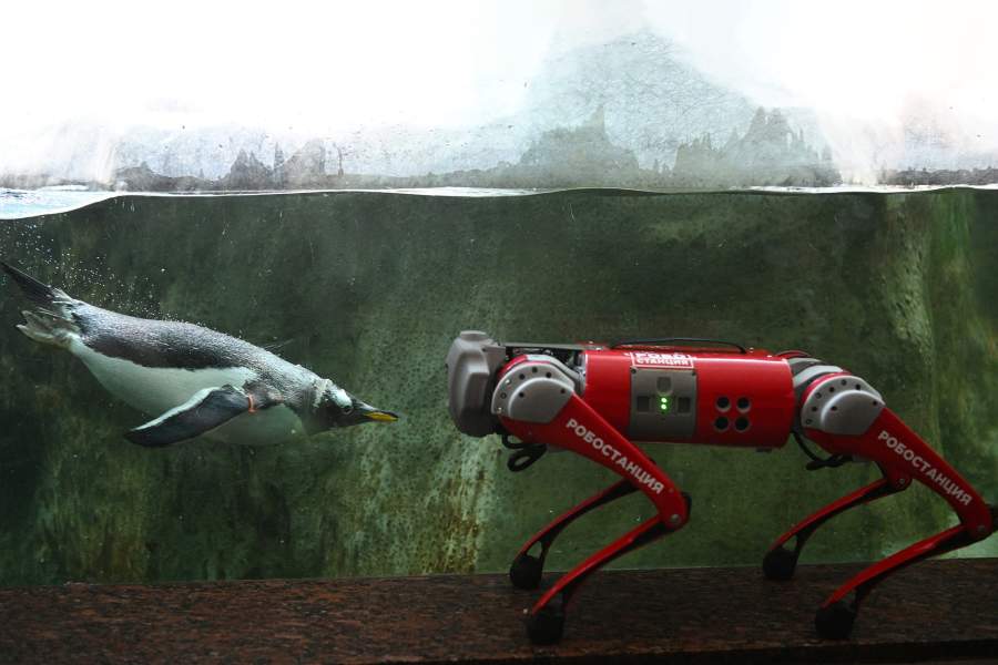 Фото прошедшей недели