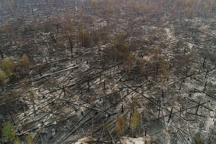 Фото прошедшей недели