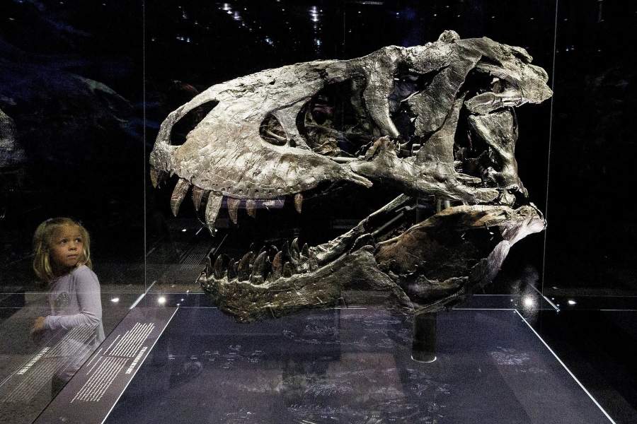 Фото прошедшей недели