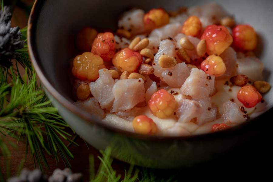 Вызывает Таймыр