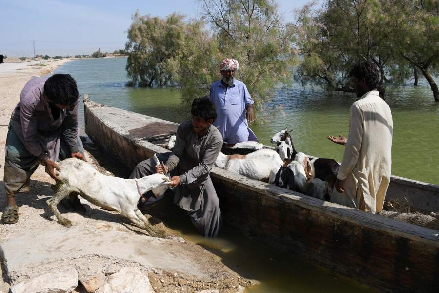 Последствия наводнений в Пакистане