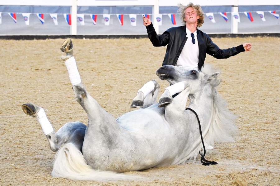 Всадники Кремлевской школы верховой езды выступают на дневной площадке Международного военного фестиваля «Спасская башня» на ВДНХ