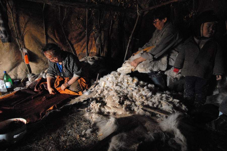 Жизнь и быт оленеводов на Камчатке