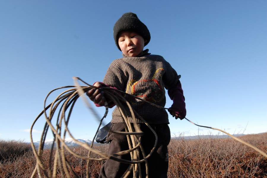 Жизнь и быт оленеводов на Камчатке