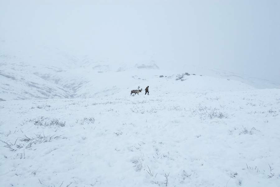 Жизнь и быт оленеводов на Камчатке