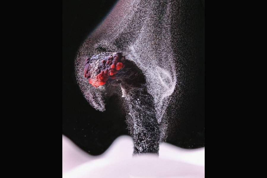 Nikon Small World 2022