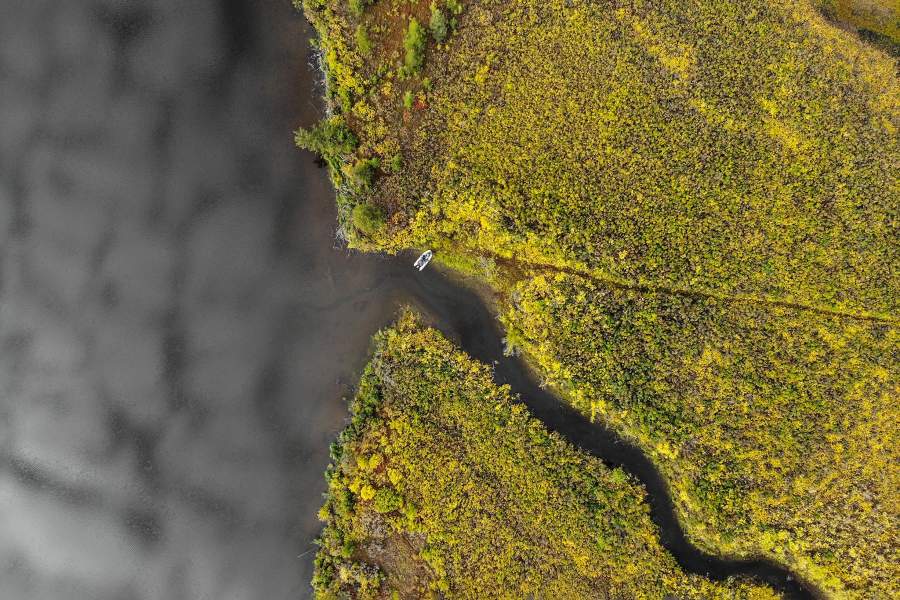 Как ищут бивни мамонтов в вечной мерзлоте