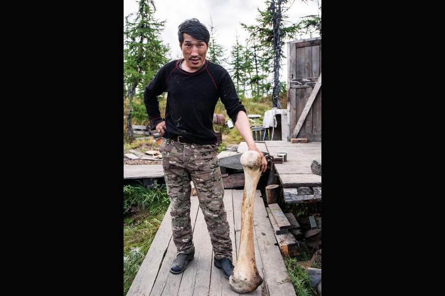 Как ищут бивни мамонтов в вечной мерзлоте