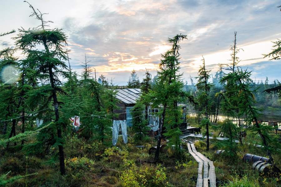 Как ищут бивни мамонтов в вечной мерзлоте