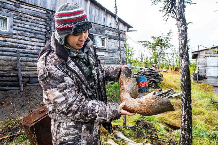 Как ищут бивни мамонтов в вечной мерзлоте