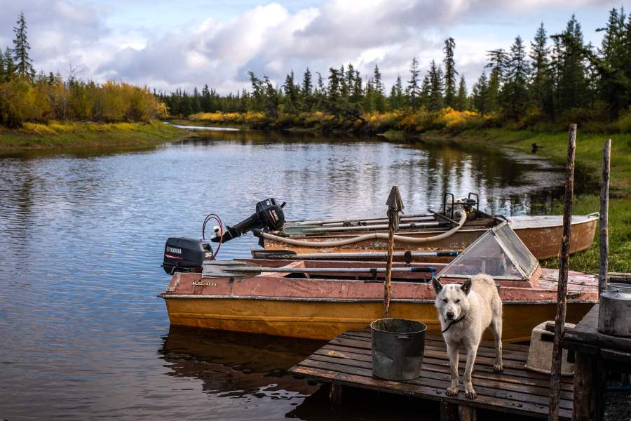 Как ищут бивни мамонтов в вечной мерзлоте