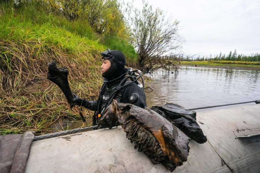 Как ищут бивни мамонтов в вечной мерзлоте
