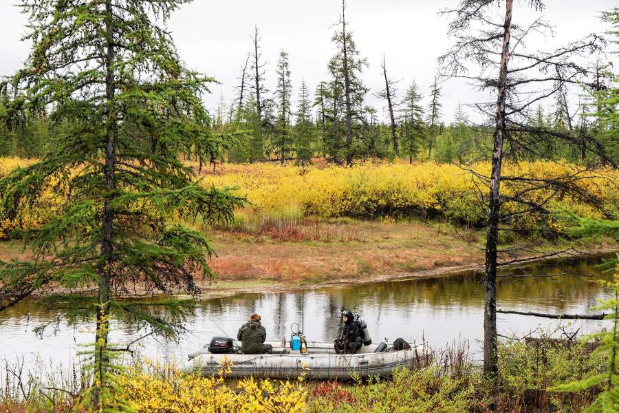 Как ищут бивни мамонтов в вечной мерзлоте