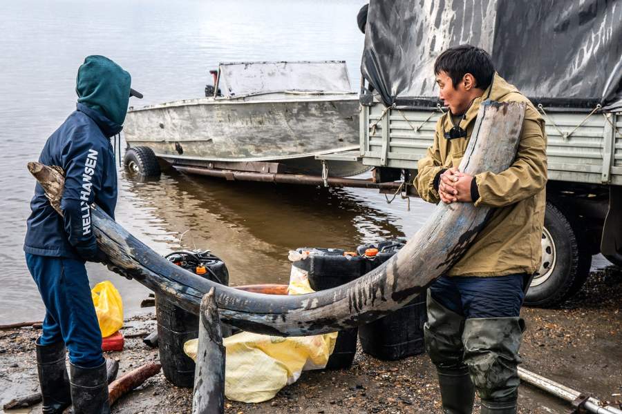 Как ищут бивни мамонтов в вечной мерзлоте
