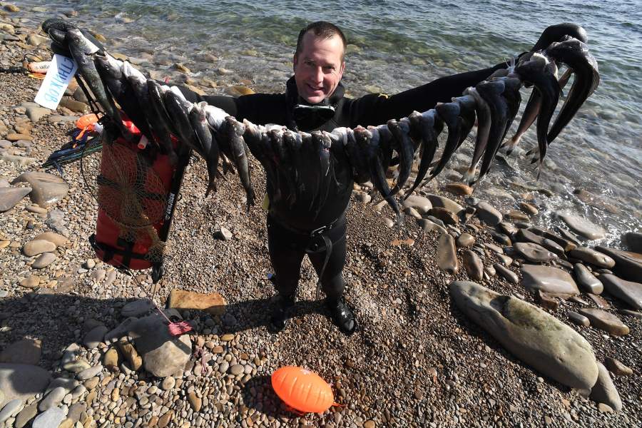Прошедшая неделя в фотографиях