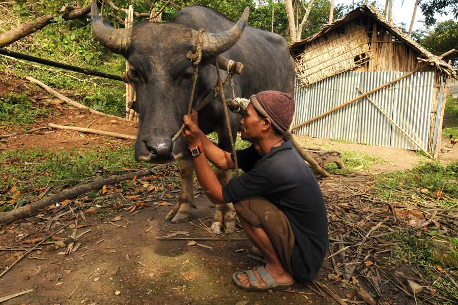 Как живут маньяны с острова Миндоро