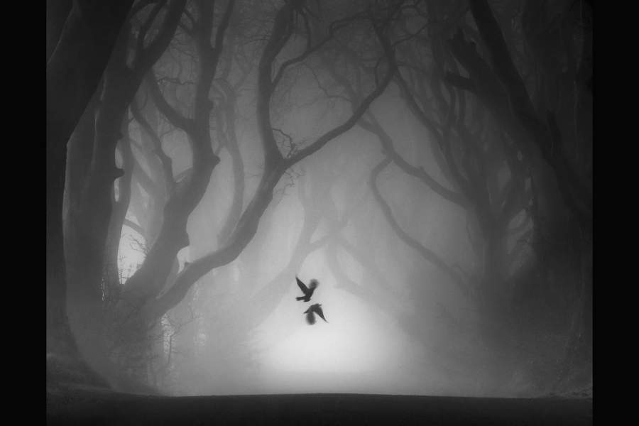 Landscape Photographer of the Year 2022