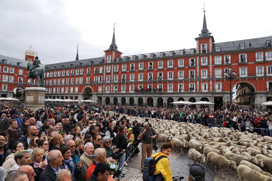 Прошедшая неделя в фотографиях