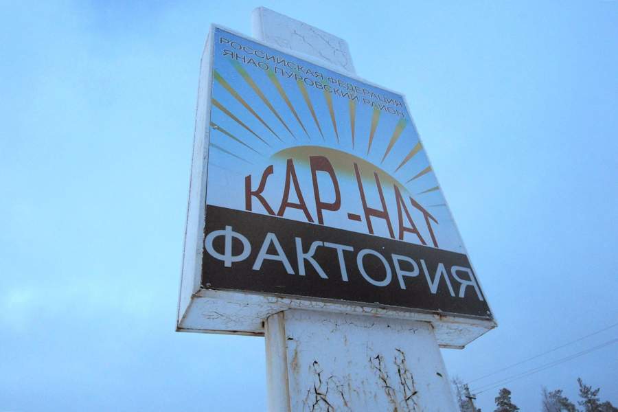 Как живут лесные ненцы