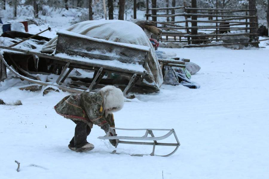 Как живут лесные ненцы