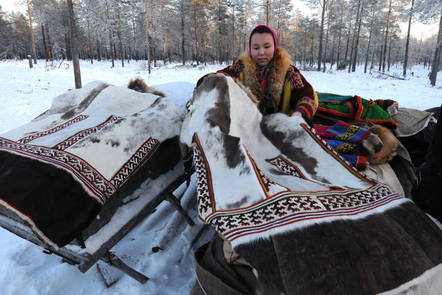 Как живут лесные ненцы