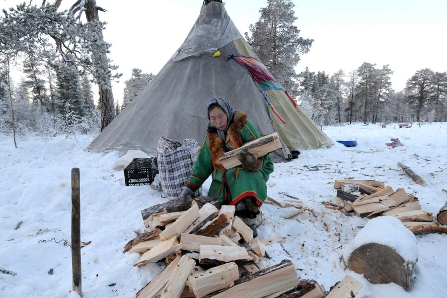 Как живут лесные ненцы