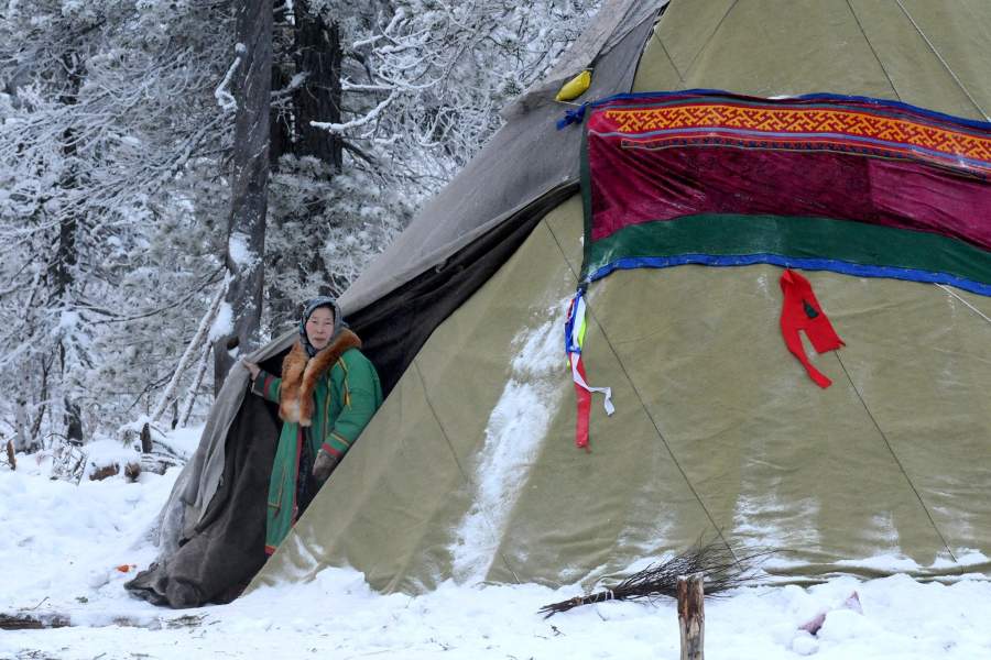 Как живут лесные ненцы