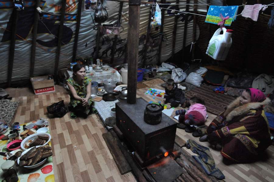 Как живут лесные ненцы