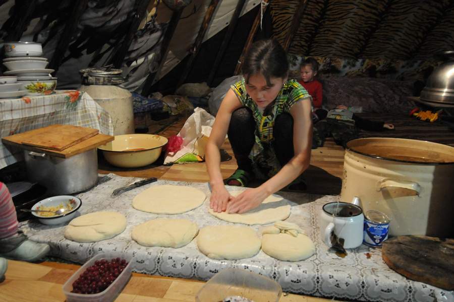 Как живут лесные ненцы