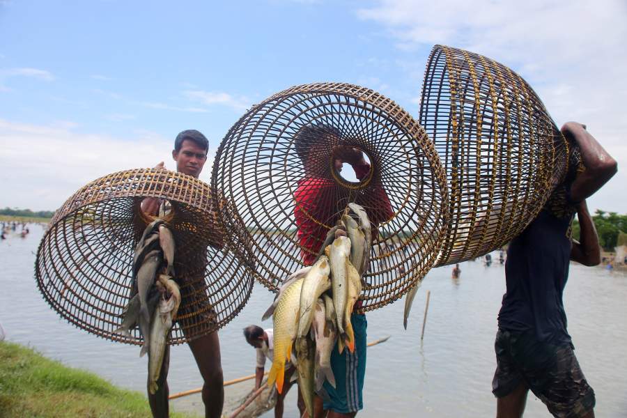 Необычная рыбалка в Бангладеш