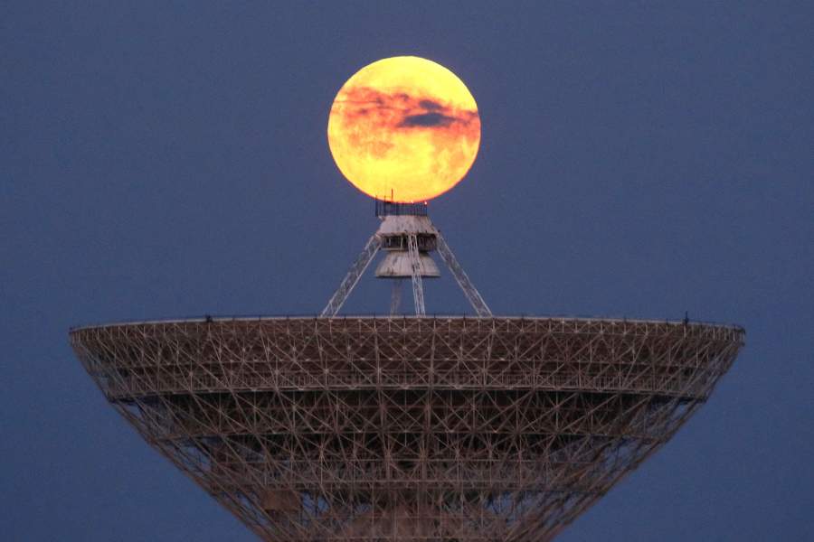 Фото года по версии Reuters