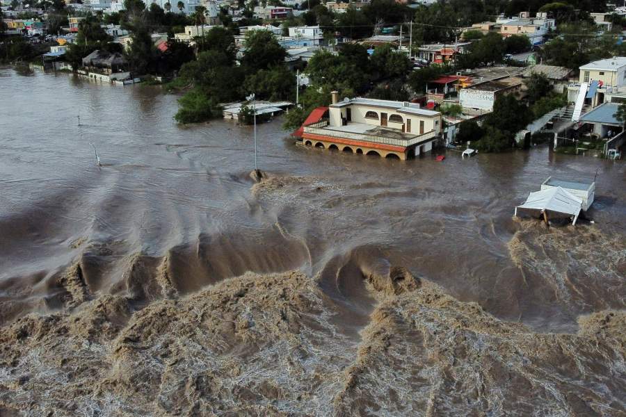 Фото года по версии Reuters