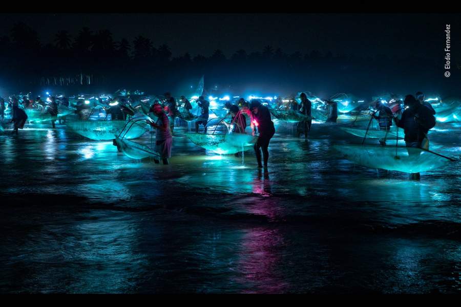 Wildlife Photographer of the Year People's Choice Award