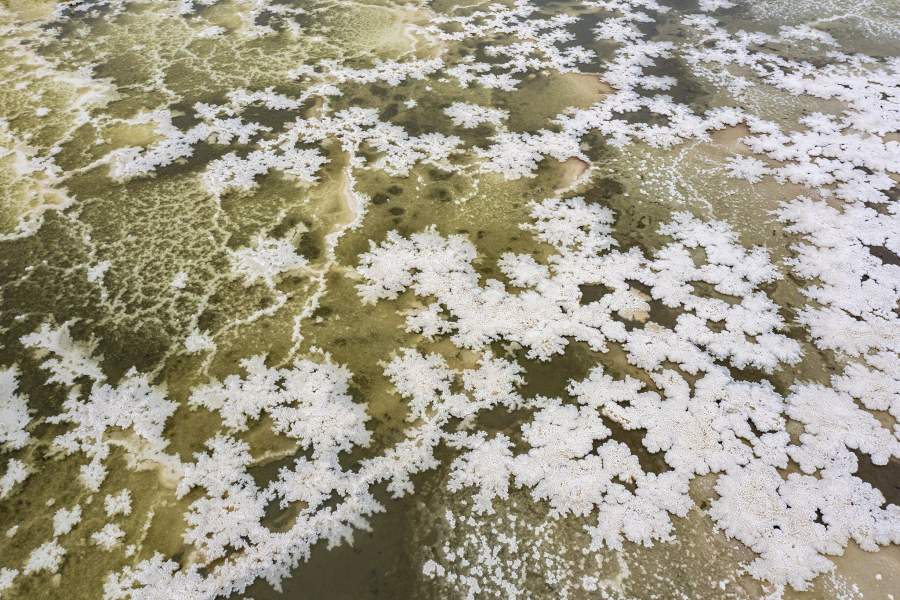 Фото прошедшей недели