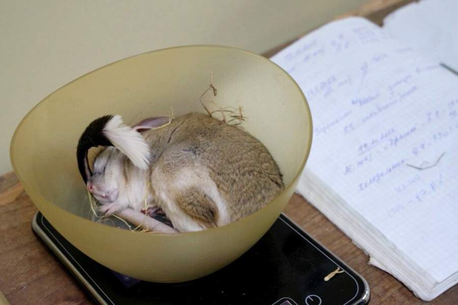 Фото прошедшей недели