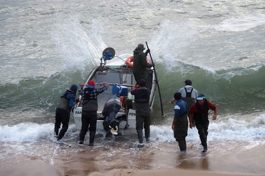 Откуда берется рыба в прибрежных ресторанах