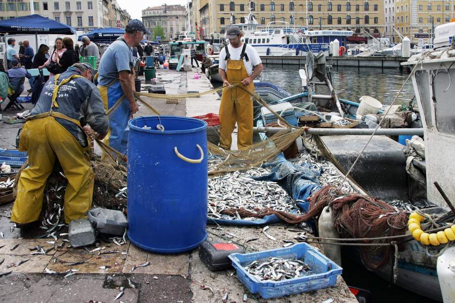 Откуда берется рыба в прибрежных ресторанах