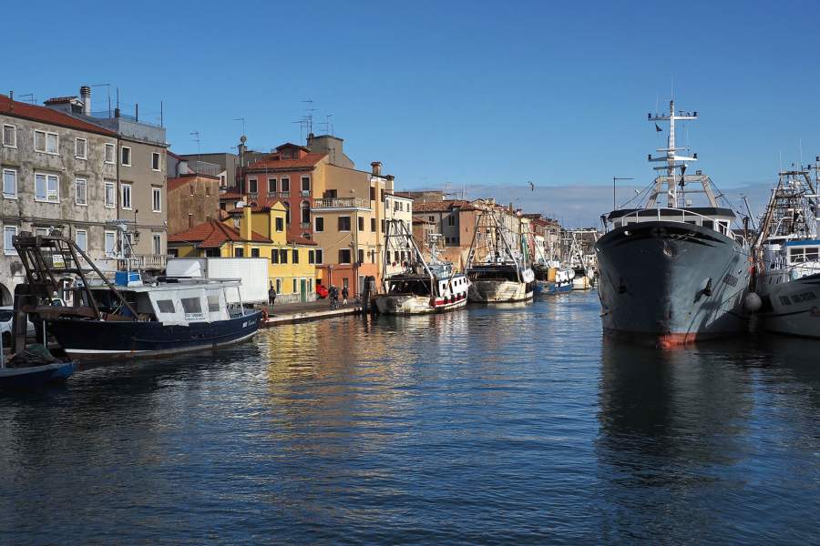 Откуда берется рыба в прибрежных ресторанах