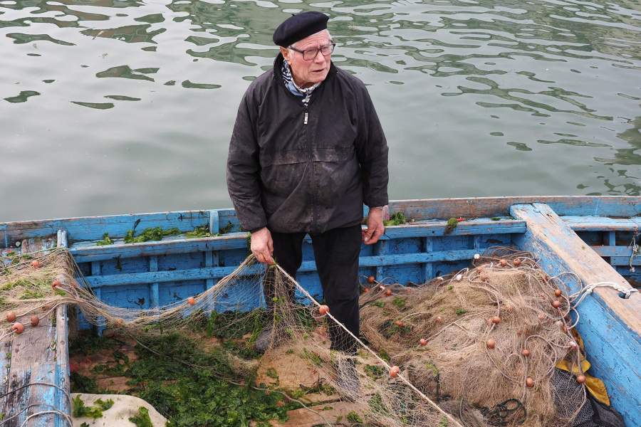 Откуда берется рыба в прибрежных ресторанах