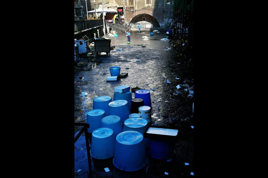 Откуда берется рыба в прибрежных ресторанах