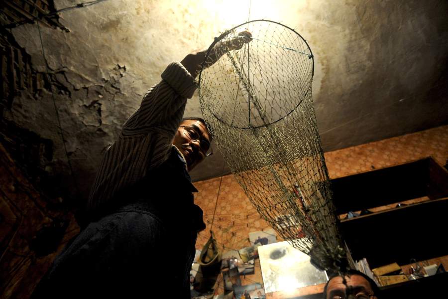 Как ловят арктическую сайку на берегу Чукотского моря