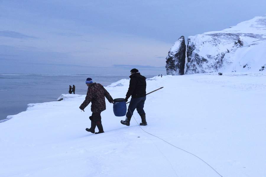 Как ловят арктическую сайку на берегу Чукотского моря