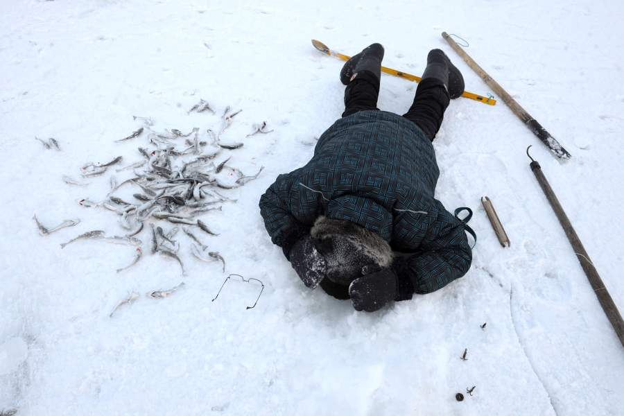 Как ловят арктическую сайку на берегу Чукотского моря