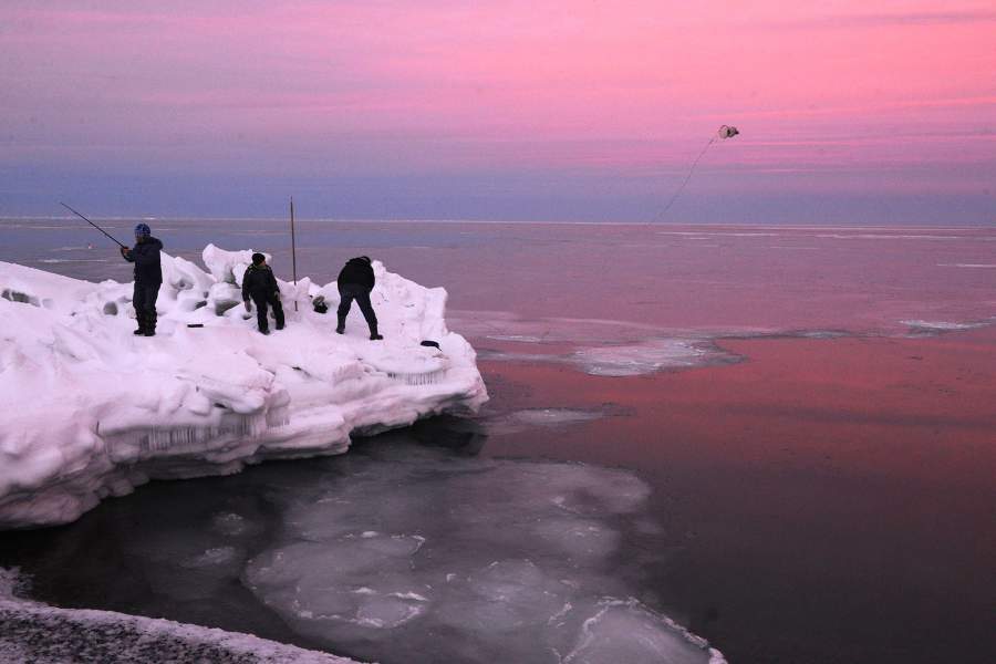 Как ловят арктическую сайку на берегу Чукотского моря